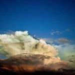 Virginia Pollich Profile Picture