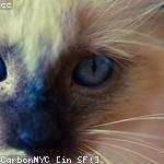 Hadley Casper Profile Picture