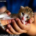 Amelia Yundt Profile Picture