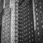 Jacklyn Koch Profile Picture