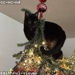 Meta Will Profile Picture