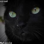 Hobart Daniel Profile Picture