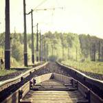 Germaine Boyer Profile Picture