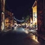 Buster Kovacek Profile Picture